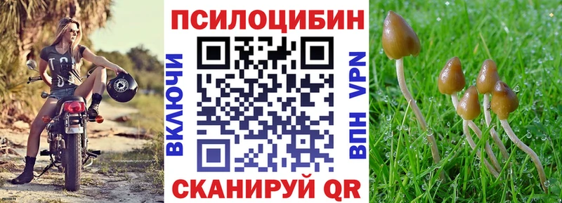 закладки Радужный Псилоцибиновые грибы Magic Shrooms