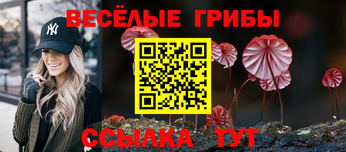 Радужный  Псилоцибиновые грибы Cubensis  Вход с VPN 