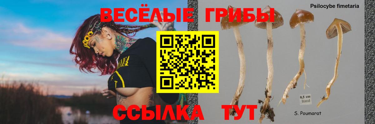 Галлюциногенные грибы Cubensis Радужный